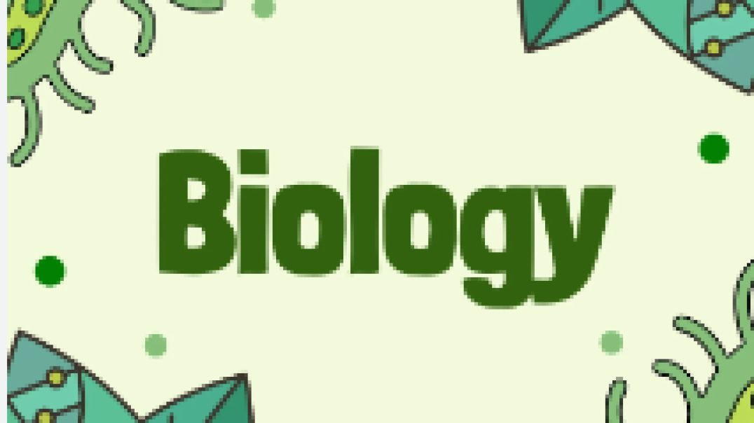 التغذيه الذاتيه الجزء التاني 2 - Ahmed Ebrahim (720p, h264, youtube)